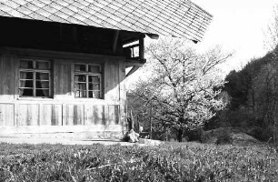 Bauernhaus und Blütenbaum bei Fröhnd