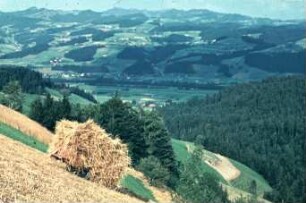 Fotografie: Strohbergung, Seilzug