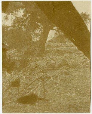 [Weinberg, Hebron]