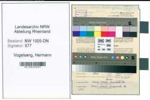 Entnazifizierung Hermann Vogelsang , geb. 09.04.1906 (Vorstandsmitglied)