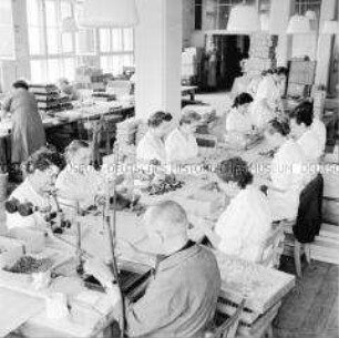 Abfüllen und Verpacken von Produktion des VEB Florena Rosodont Werke Waldheim (Mittelsachsen)
