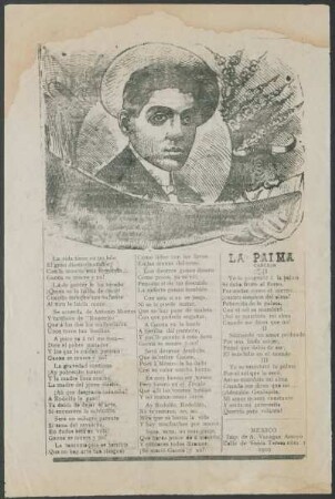 La palma : Canción