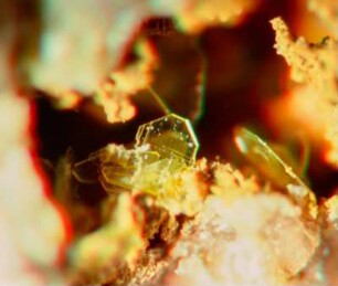 Mineralien, vmtl. alle von Offermann in Arlesheim, Schweiz, fotografiert