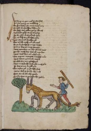 Ein Mann mit Stock, Esel in Löwenfell; (Von dem Esel mit der Löwenhaut, Kapitel LXVII nach Pfeiffer)