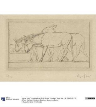 Trinkende Esel. Blatt 10 aus: Trinkende Tiere