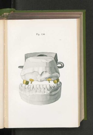 Fig. 134.