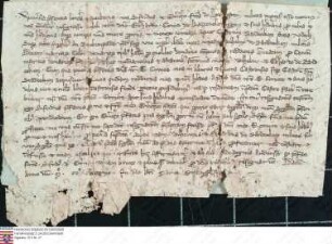 Die Ritter Siegfried und Emercho v. Löwenstein (Lewen-), Brüder, übertragen dem Grafen Eberhard v. Katzenelnbogen von den ihnen eigenen Weinbergen...