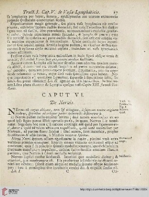Caput VI: De Nervis