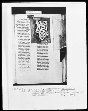 Evangeliar, angeblich aus Sankt Gereon in Köln — Initiale L, Folio 61recto
