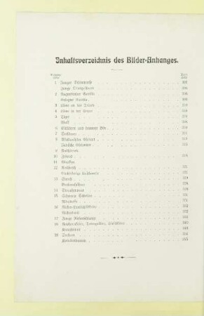 Inhaltsverzeichnis des Bilder-Anhanges