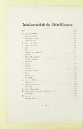 Inhaltsverzeichnis des Bilder-Anhanges