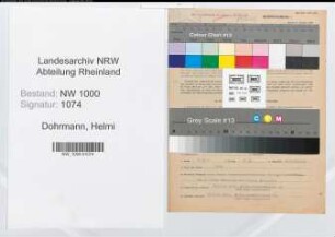 Entnazifizierung Helmi Dohrmann, geb. 15.11.1908 (Konzertsaengerin)