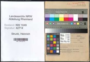 Entnazifizierung Heinrich Strunk , geb. 12.10.1898 (Spediteur)