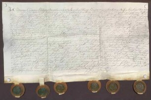 Instrumentum probationis des Damian Casimir Schenk von Schmidtburg.