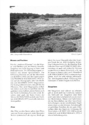 Abb. 3: Sorgwohlder Binnendünen (Foto: J. Eigner)