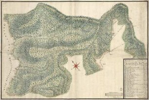 Geometrischer Plan von dem Friesenheimer Hoh-Wald