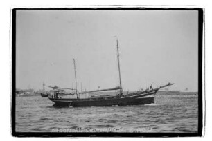 Argonaut (1912), Willi Hagenah, Dornbusch