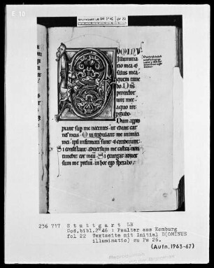 Psalter aus Comburg — Initiale D (ominus illuminatio), Folio 22recto