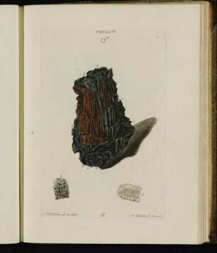 Tabula VI.