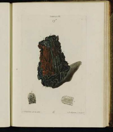 Tabula VI.