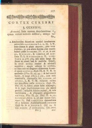 Cortex cerebri