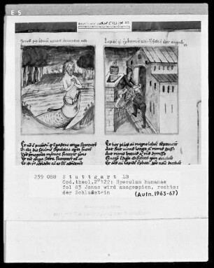 Zwei Schriften — Speculum humanae salvationis — Textseite mit zwei Miniaturen, Folio 83recto