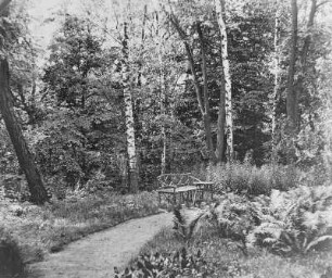Im Park zu Wachwitz : Im Park zu Wachwitz. Albuminpapier; 16 x 19,5 cm (um 1880; A. Kotzsch). Dresden: Hauptstaatsarchiv Dresden 617/11