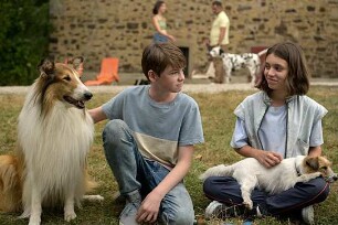Lassie - Ein neues Abenteuer