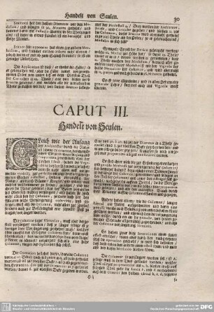 Caput III. Handelt von Seulen.