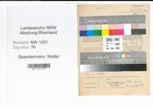 Entnazifizierung Walter Spieckermann , geb. 13.10.1905 (Bankbeamter)
