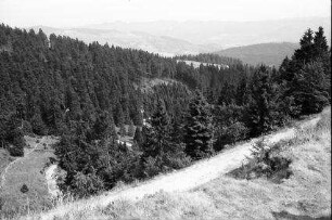 Vogesen: von der Route des Crêtes ins Tal beim Lac Vert