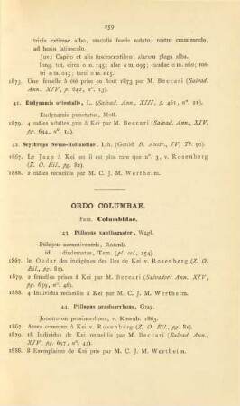 Ordo columbae