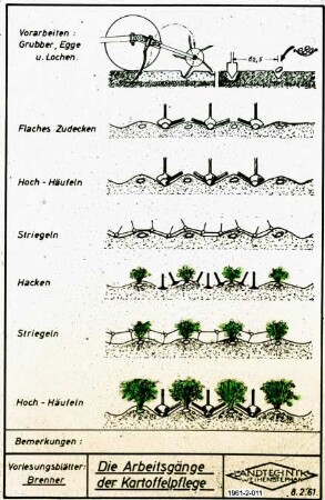 Die Arbeitsgänge der Kartoffelpflege