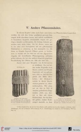 V. Andere Pflanzensäulen