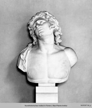 Kopie nach der antiken Büste des sterbenden Alexander (Uffizien in Florenz) - copia dalla antica testa del Alessandro morente (Galleria degli Uffizi)