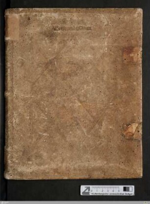 Epistulae Pauli - Cod.bibl.fol.80