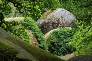 Frankreich. Bretagne. Finistere. Huelgoat. Granit Chaos