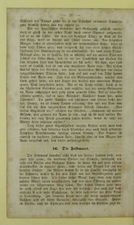 16. Die Feldmaus