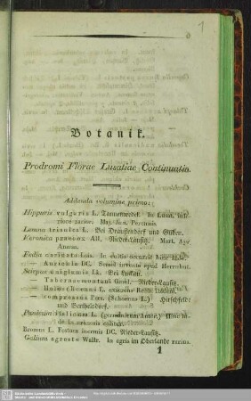 Botanik. Prodromi Florae Lusatiae Continuati