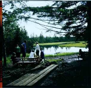Kaltenbronn: Moor am Hohlohsee, Vordergrund Wandergruppe