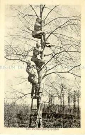 Drei Soldaten als Beobachtungsposten im Baum