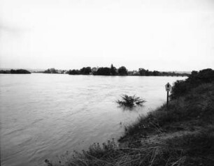 Dresden, Hochwasser 2002 : Dresden-Pieschen. "Flut 2002", Blick auf die Elbe
