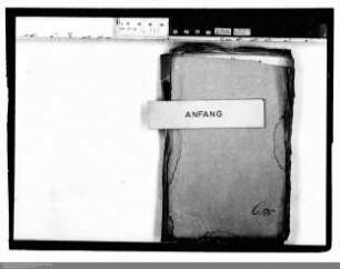 . Schuldenwesen von Nassau-Diez: Band 1