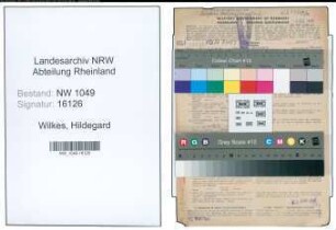 Entnazifizierung Hildegard Wilkes , geb. 15.09.1909 (Volkspflegerin)