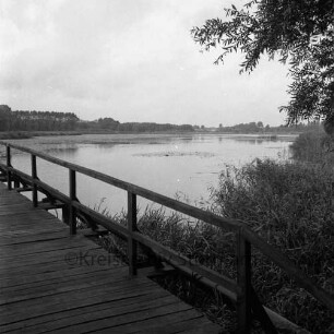 Lasbek-Gut: Lasbeker Mühlenteich mit Steg vorn links: rechts Sträucher und Baum