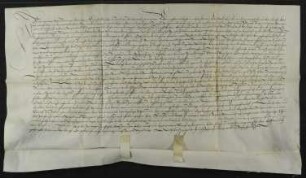 Walpurga Schiemar von Steinheim ("Stainhain") [Stadt Neu-Ulm], die Witwe des Johann Rauschmann, bekennt, dass ihr die Pfleger Matthäus Krafft und Ludwig Widenmann sowie der Hofmeister Leonhard Frey des Heiliggeistspitals in Ulm [abgegangen, Bereich Neue Straße, Lagerbuch Nr. 261/2, 254] mit Wissen und Zustimmung ihres Trägers Ulrich Betz von Steinheim das Gütlein des Spitals in Steinheim, das zuvor ihr verstorbener Ehemann bewirtschaftet hat, auf Lebenszeit verliehen haben. Sie verpflichtet sich, das Gütlein in gutem Kulturzustand zu halten und dem Spital davon jährlich 4 Imi Roggen und 4 Imi Hafer Ulmer Maß, 1 Pfund Heller, 2 Hühner und 1 Henne nach Ulm zu liefern. Bei Säumnissen in der Lieferung der Abgaben, unsachgemäßer Bewirtschaftung und nach ihrem Tod fällt das Gut wieder an das Spital zurück.