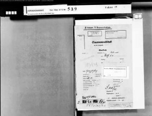 Beklagter: Wolff, Damian; Beklagter: Stoffels, Theodor: Schwarzschlachtung