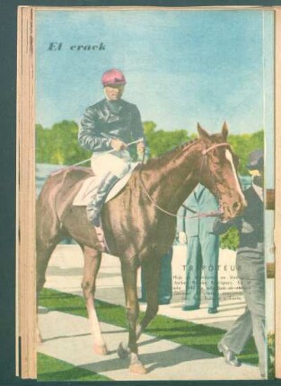 El crack: Tripoteur [...], jockey Ramón Rodríguez [...] - [Fotografía]