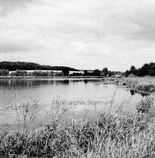 Moorteich mit Schilfsaum: im Hintergrund Knicklandschaft