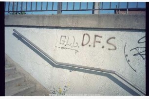 G.L.L. | D.F.S